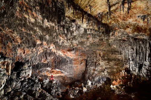 Dimnice Jama (Slovénie) - Spéléo au milieu d'une grande salle très concrétionnée(SP-17-0481)